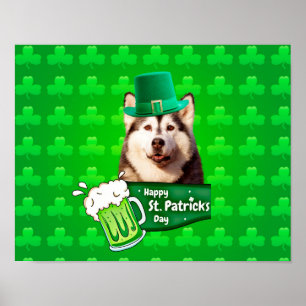 Poster Cute Siberian Husky Chien Casquette St. Patrick's