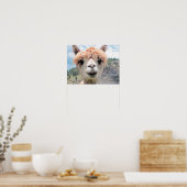 Poster Cute Smiling Alpaca Photo Image (Cuisine)