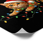 Poster Cute Tabby Cat Christmas Funny Lights Xmas Cat In  (Coin)