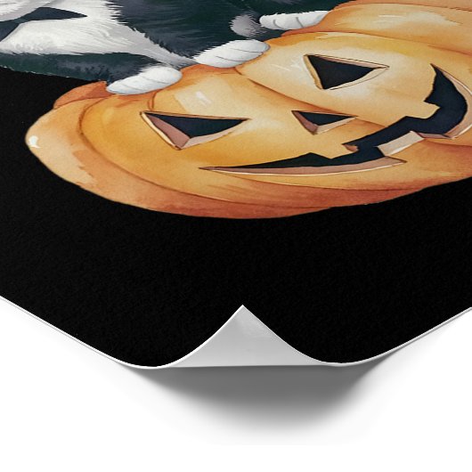 Poster Cute Tuxedo Chat Halloween Citrouille Chat Éffraya (Coin)