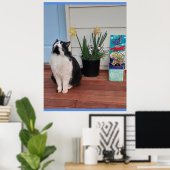 Poster Cute Tuxedo Chat Noir Blanc Chats Daffodique Flora (Bureau à domicile)