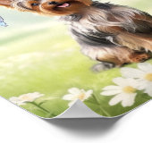 Poster Cute Yorkshire Terrier (Coin)