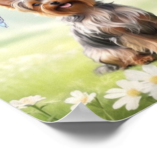 Poster Cute Yorkshire Terrier (Coin)