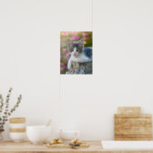 Poster Cute Young Bicolor Chat Kitten Fleurs Animaux - (Cuisine)