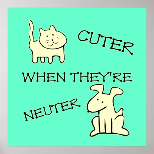 Poster Cuter (Devant)