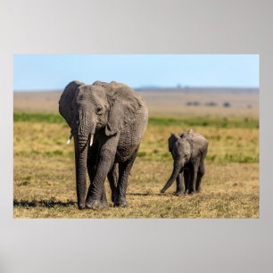 Poster Cutest Baby Animals   Elephant Mother & Baby