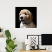 Poster Cutest Baby Animals | Golden Retriever Puppy (Bureau à domicile)