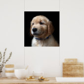 Poster Cutest Baby Animals | Golden Retriever Puppy (Cuisine)