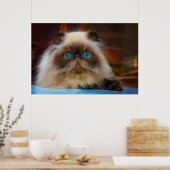 Poster Cutest Baby Animals | Himalayan Cat (Cuisine)