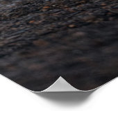 Poster Cutest Baby Animals | Polar Bear Family Alaska (Coin)