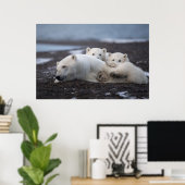 Poster Cutest Baby Animals | Polar Bear Family Alaska (Bureau à domicile)