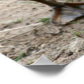 Poster "Cutie" (Coin)