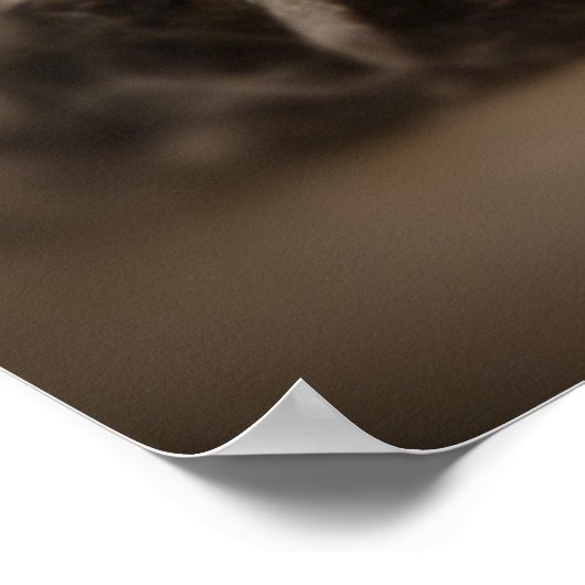 Poster Cutie Cav ! (Coin)