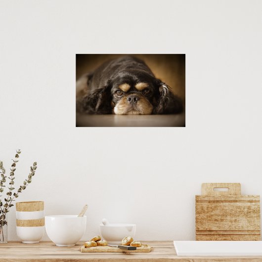 Poster Cutie Cav ! (Cuisine)