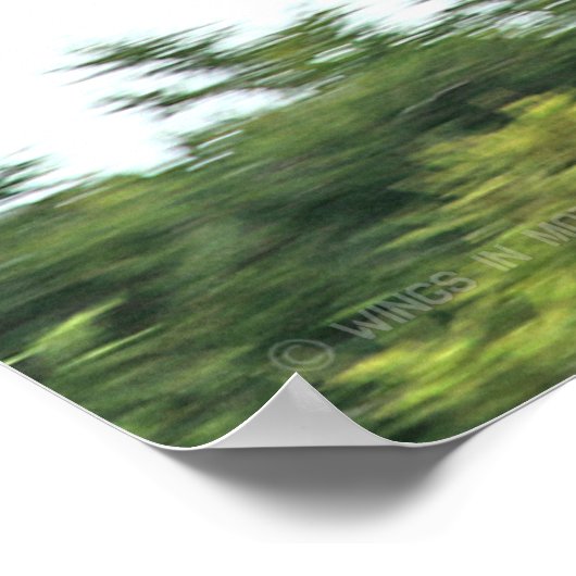 POSTER CV-22 OSPREY (Coin)