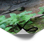 Poster CVNP - Blue Hen 2010 (Coin)