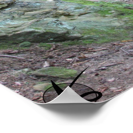 Poster CVNP - Ledges 2010 (Coin)