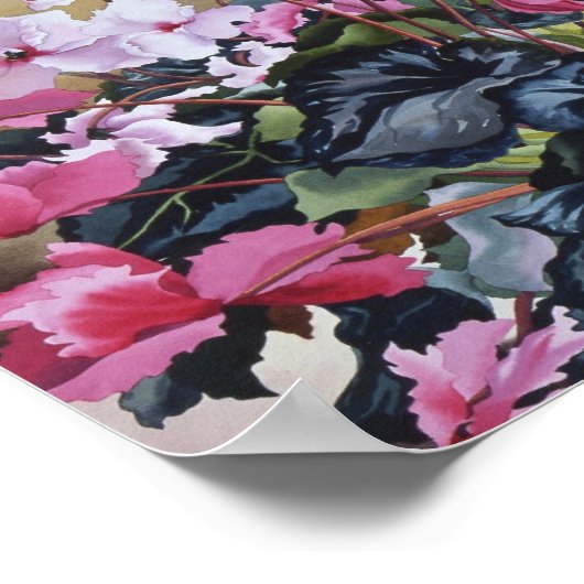 Poster Cyclamen 2004 (Coin)