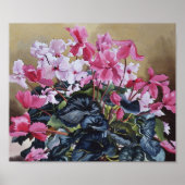 Poster Cyclamen 2004 (Devant)