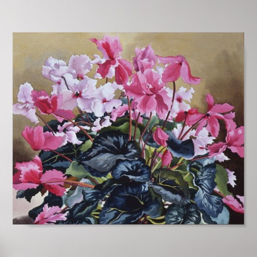 Poster Cyclamen 2004 (Devant)