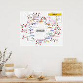 Poster Cycle acide citrique Tricarboxylique Acide et Acon (Cuisine)