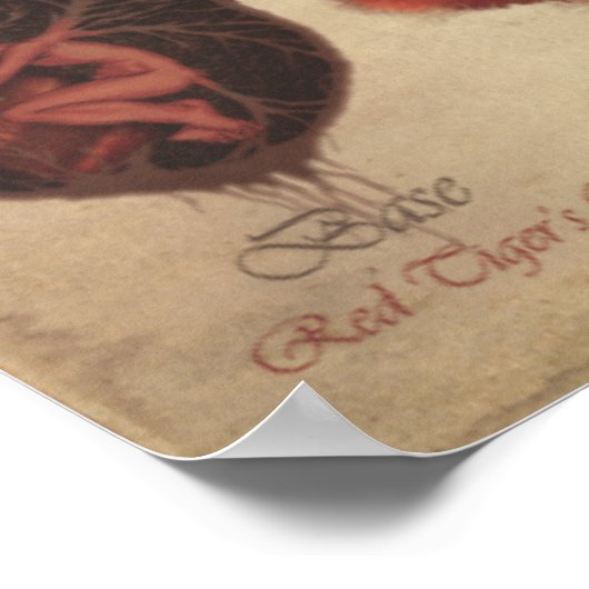 POSTER CYCLE DE FAE CHAKRA (Coin)