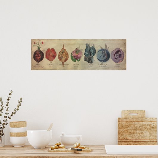 POSTER CYCLE DE FAE CHAKRA (Cuisine)