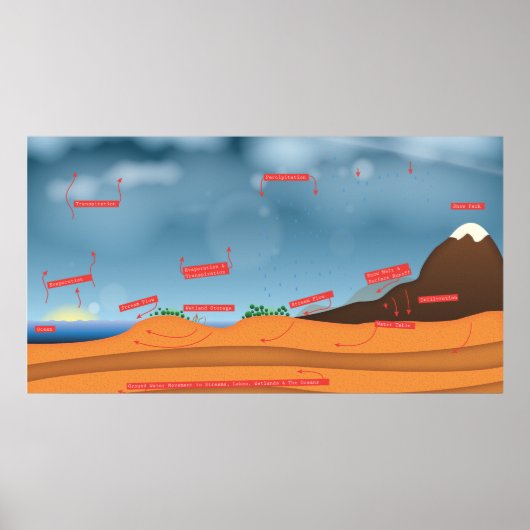 Poster Cycle de l'eau (Devant)