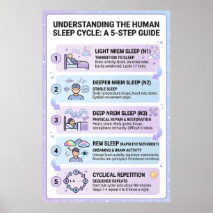 Poster Cycle de sommeil humain : Guide infographique en 5