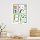 Poster Cycle De Vie D'Une Mousse Typique (Bryophyte) (Cuisine)