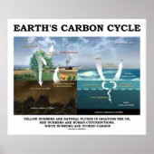 Poster Cycle du carbone terrestre (Science de la Terre) (Devant)