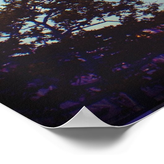 Poster Cyclone de Coney Island (Coin)