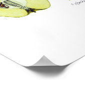 Poster Cydonia vulgaris (Quince) (Coin)