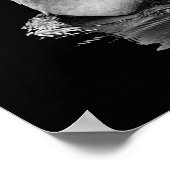 Poster Cygne (Coin)