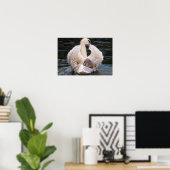 Poster Cygne (Bureau à domicile)