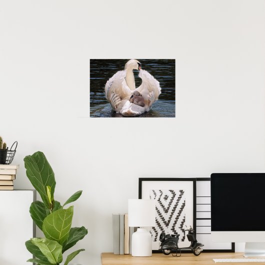 Poster Cygne (Bureau à domicile)