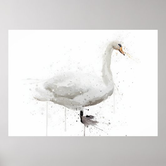 Poster Cygne (Devant)