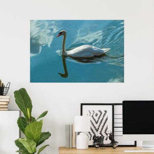 Poster Cygne avec reflets nuageux (Bureau à domicile)