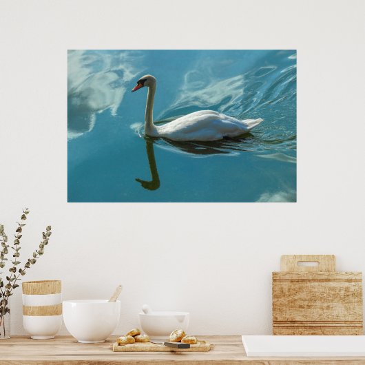 Poster Cygne avec reflets nuageux (Cuisine)