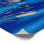 Poster Cygne avec réflexions (Coin)