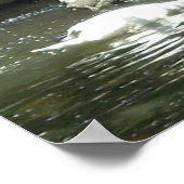 Poster Cygne blanc (Coin)