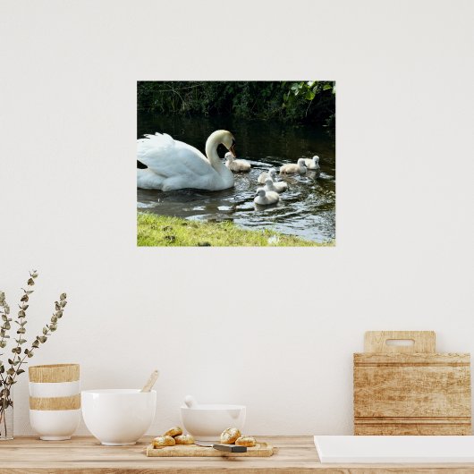 Poster Cygne blanc avec poules (Cuisine)