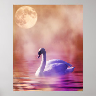 Poster Cygne blanc flottant sur un lac brumeux
