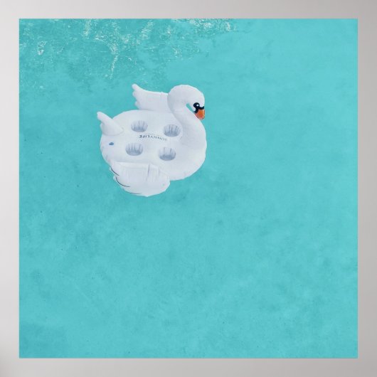 Poster Cygne blanc gonflable sur le plan d'eau (Devant)