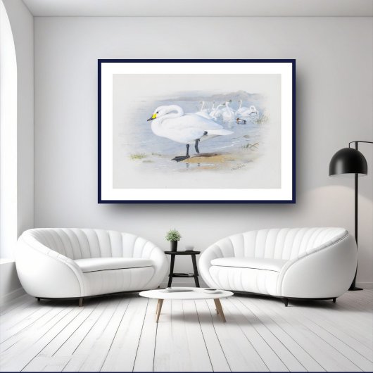 Poster Cygne blanc, illustration Oiseaux