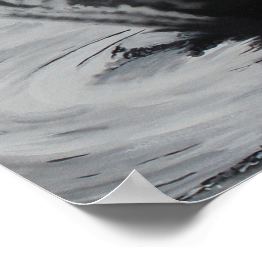 Poster Cygne (côté droit) (Coin)