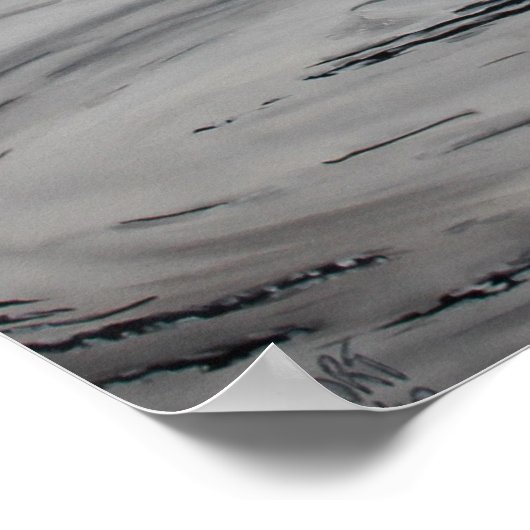 Poster Cygne (côté gauche) (Coin)