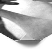 Poster Cygne dans le parc de l'île Barry (Coin)