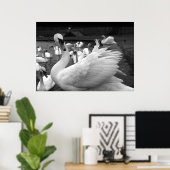 Poster Cygne dans le parc de l'île Barry (Bureau à domicile)