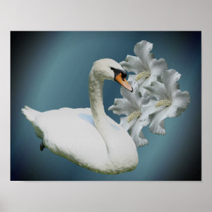 Poster Cygne Et Hibiscus Fleurs Nature Art